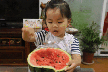 吃瓜群众已胖,胖从何来？揭秘瓜果零食背后的热量陷阱