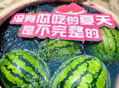 云野吃瓜现场,揭秘娱乐圈幕后风云