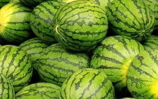 一瓜三吃怎么吃西瓜,解锁夏日西瓜新吃法